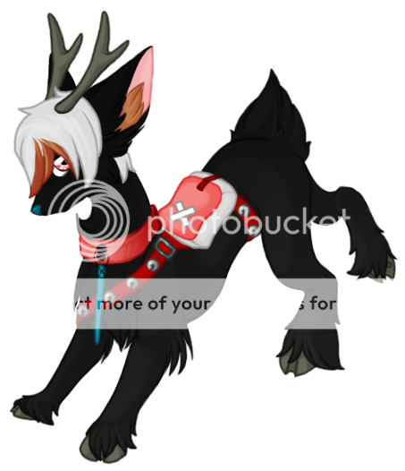 User Image